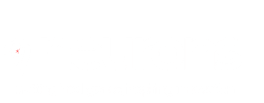 neurons - crafting innovative neurons